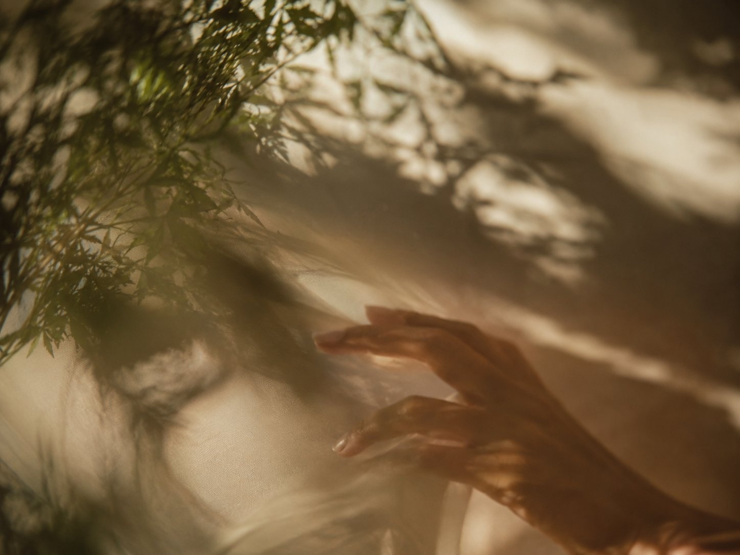 Body-centered healing — natural light and movement